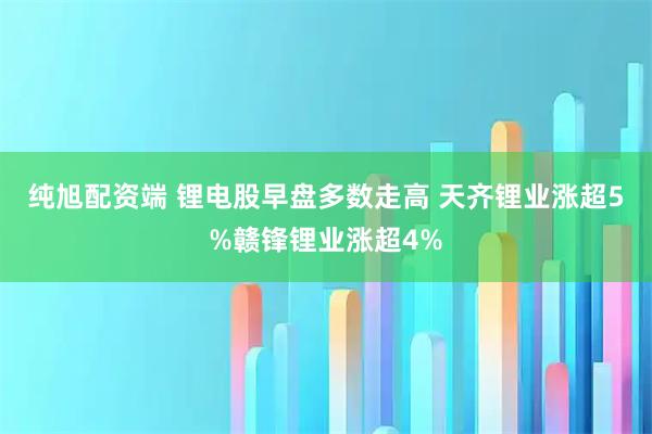 纯旭配资端 锂电股早盘多数走高 天齐锂业涨超5%赣锋锂业涨超4%