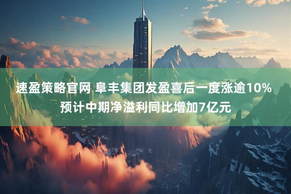 速盈策略官网 阜丰集团发盈喜后一度涨逾10% 预计中期净溢利同比增加7亿元