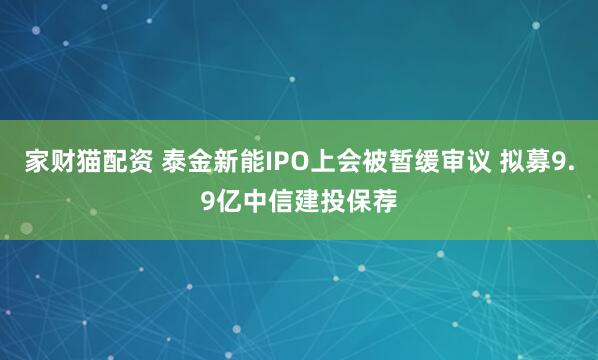 家财猫配资 泰金新能IPO上会被暂缓审议 拟募9.9亿中信建投保荐