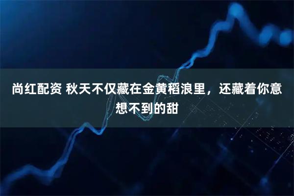 尚红配资 秋天不仅藏在金黄稻浪里，还藏着你意想不到的甜