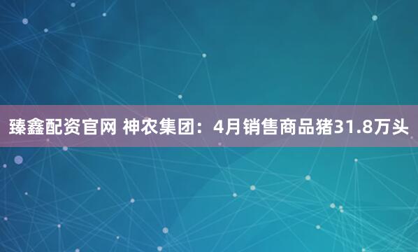 臻鑫配资官网 神农集团：4月销售商品猪31.8万头